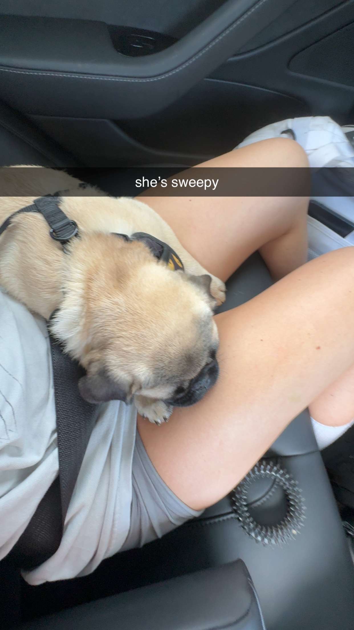 fionamaefit snapchat image archive image