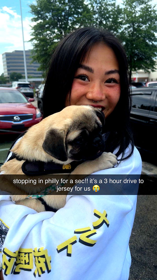 fionamaefit image ~ Altpins