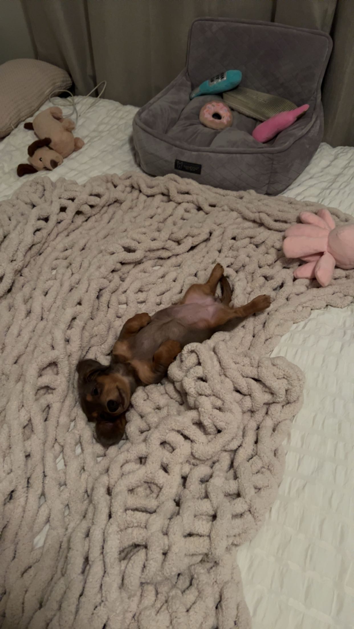 fionamaefit snapchat image archive image