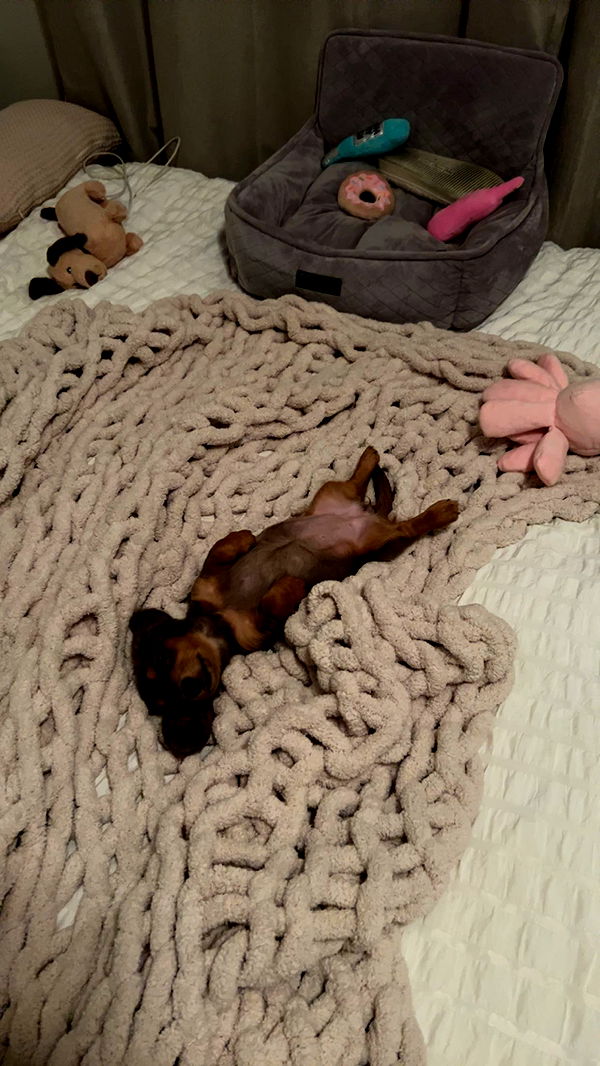 fionamaefit image ~ Altpins