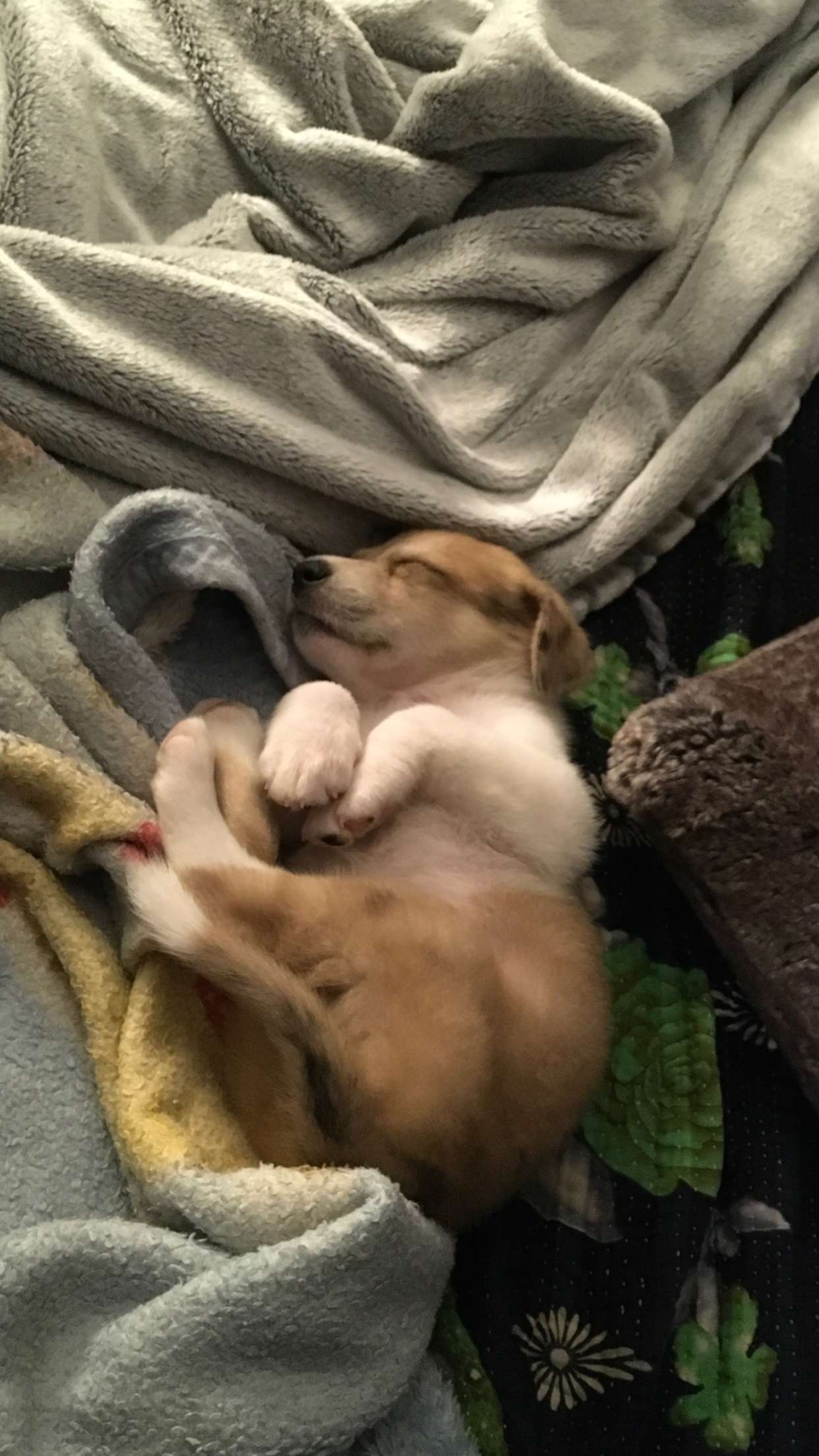 fionamaefit snapchat image archive image