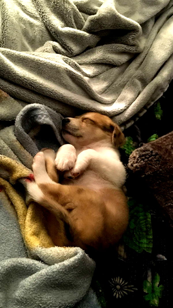 fionamaefit image ~ Altpins