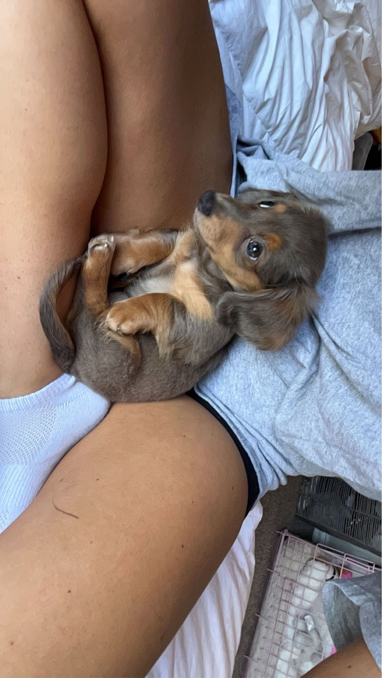 fionamaefit snapchat image archive image