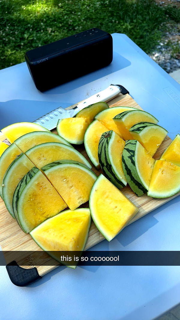 fionamaefit image ~ Altpins