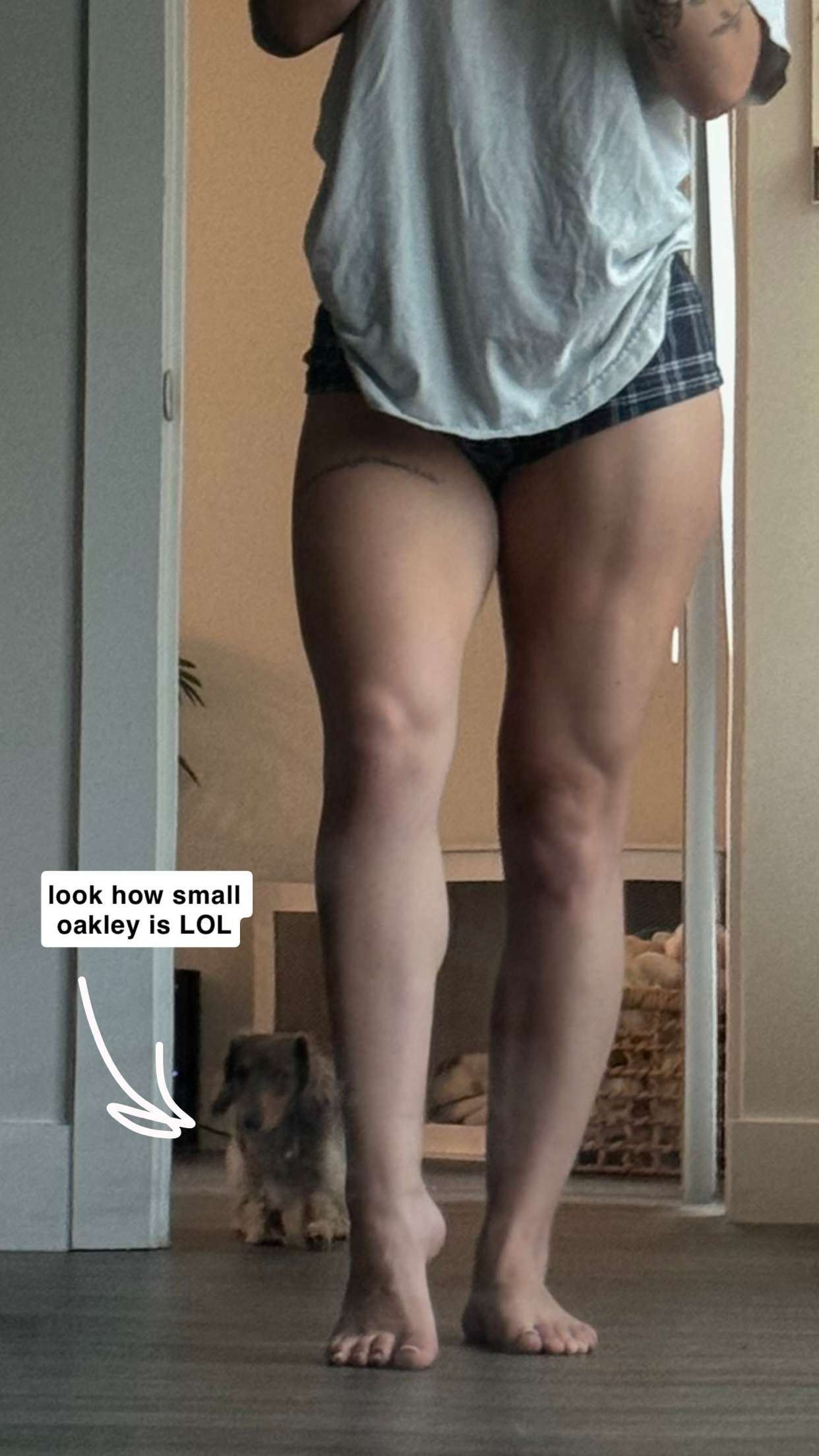 fionamaefit snapchat image archive image