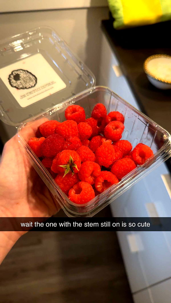 fionamaefit image ~ Altpins