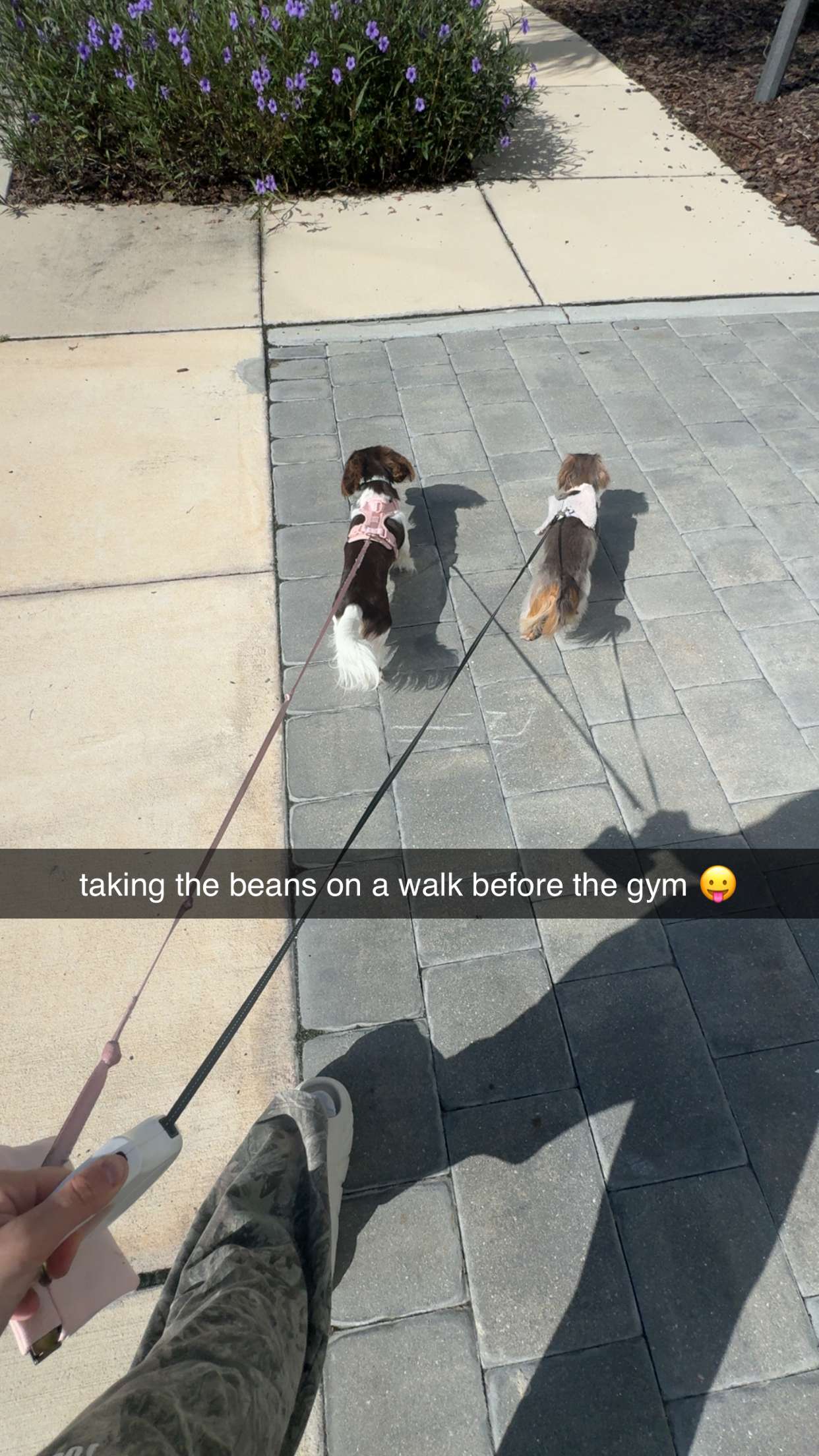 fionamaefit snapchat image archive image