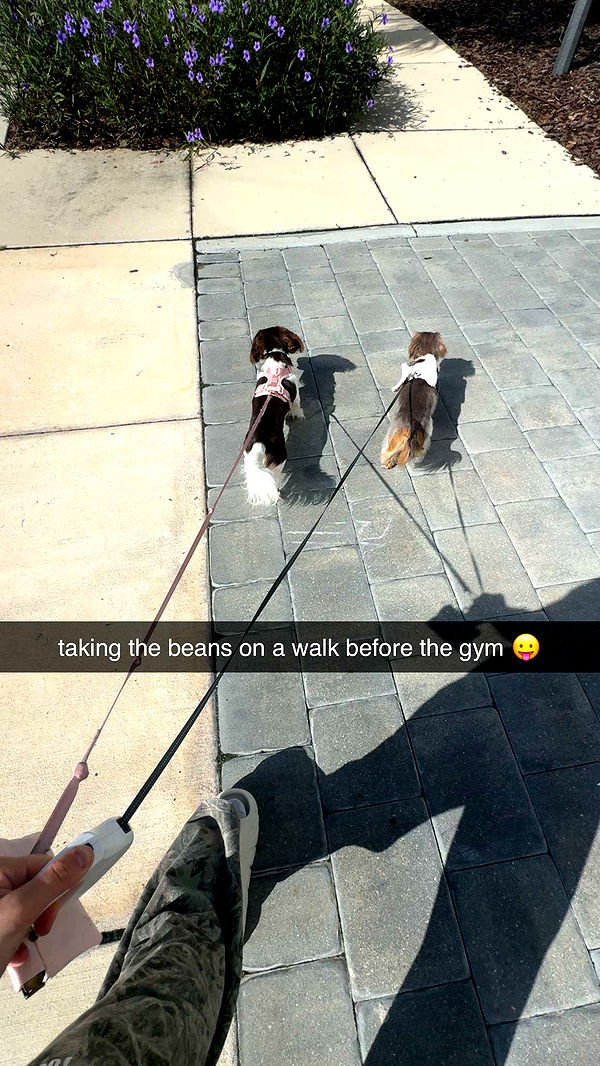 fionamaefit image ~ Altpins