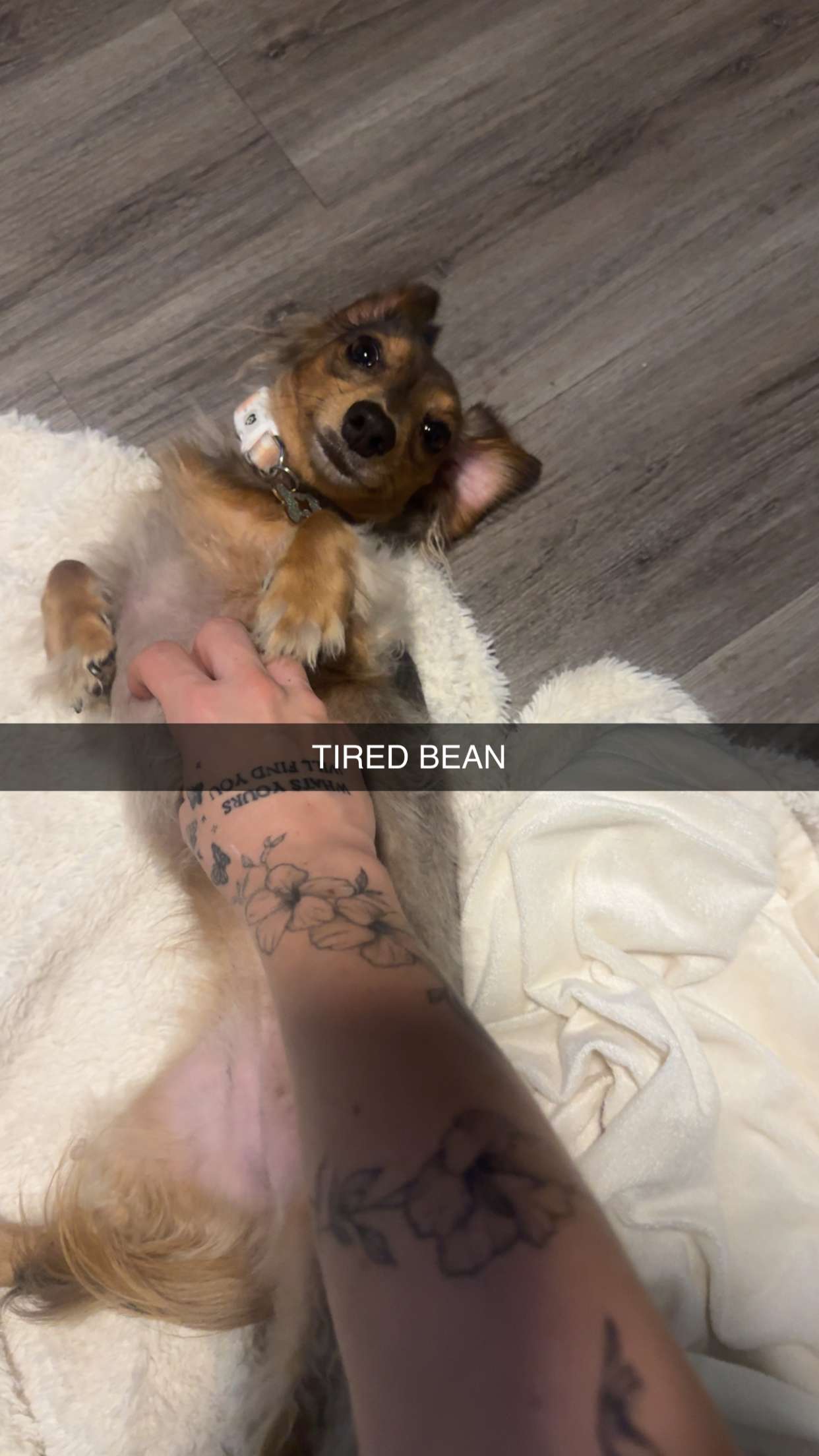 fionamaefit snapchat image archive image