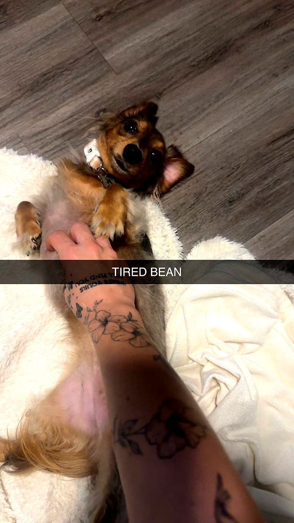 fionamaefit image ~ Altpins