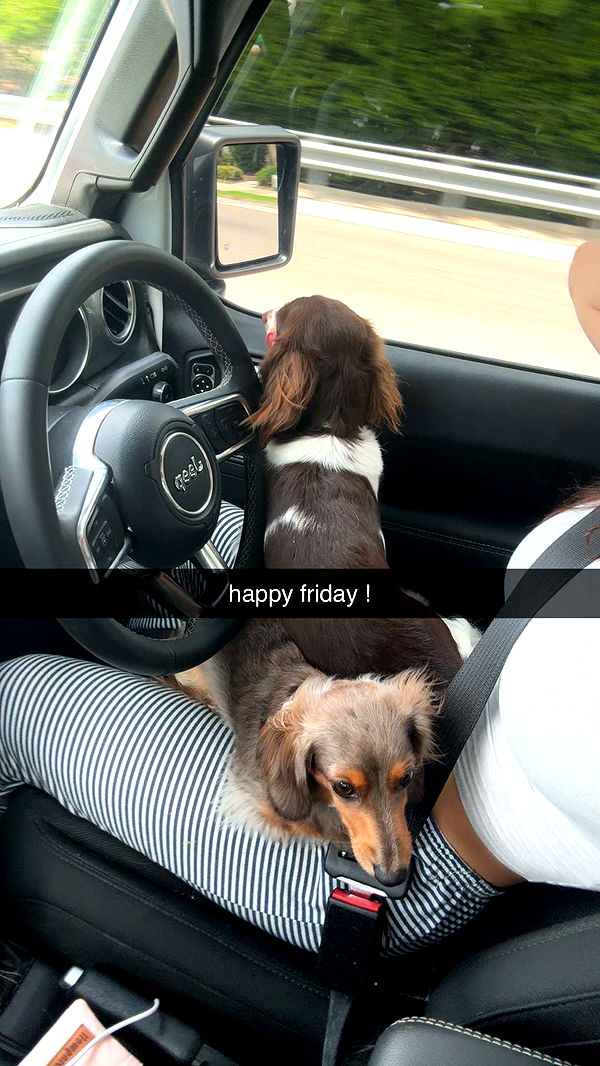 fionamaefit image ~ Altpins