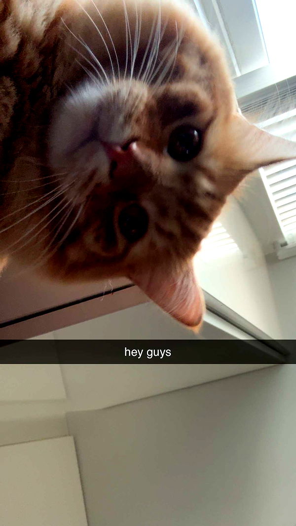 fionamaefit image ~ Altpins