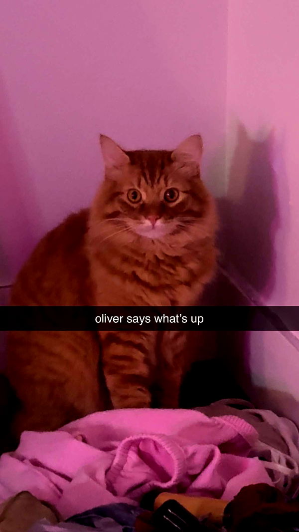 fionamaefit image ~ Altpins