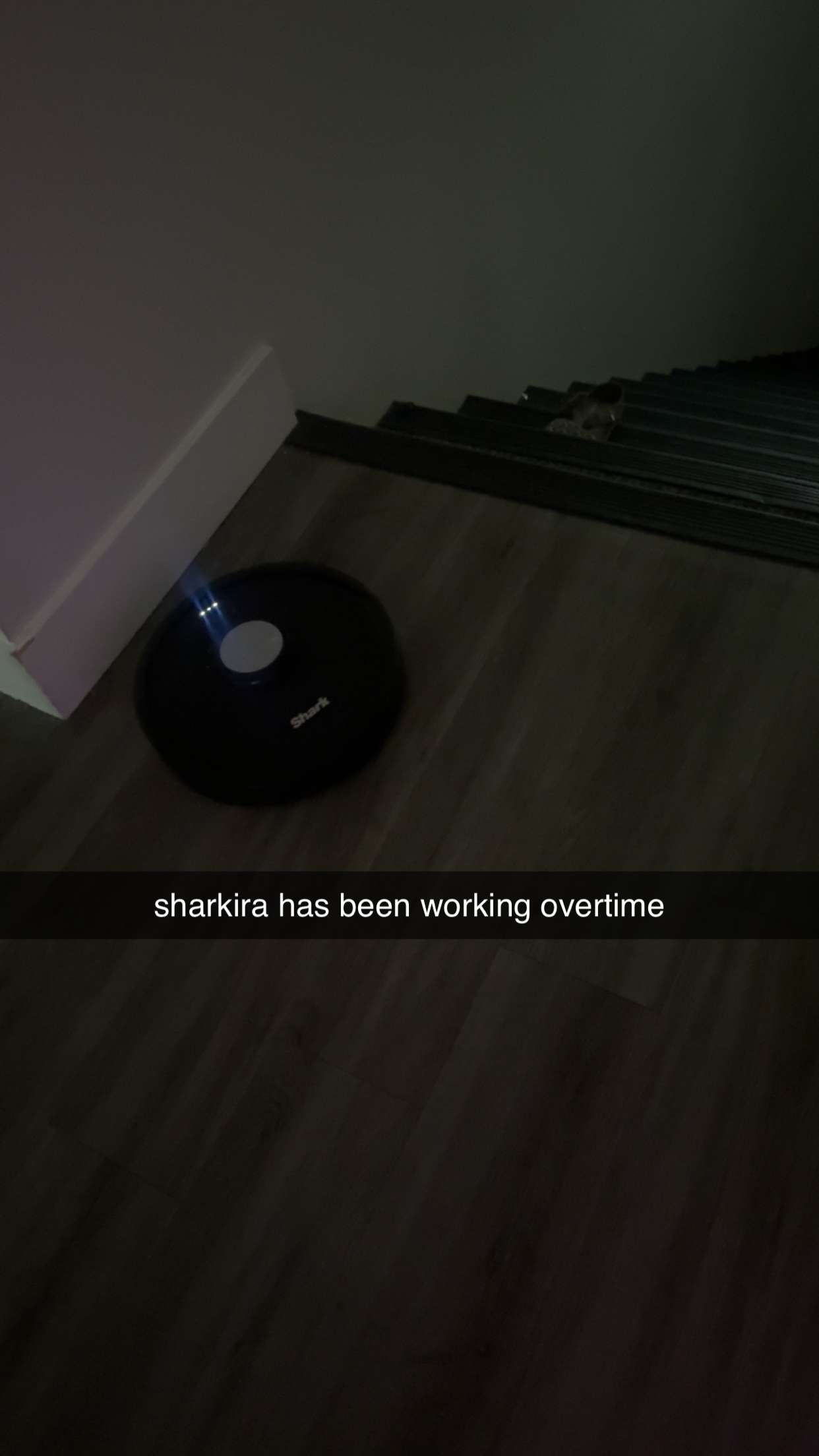 fionamaefit snapchat image archive image