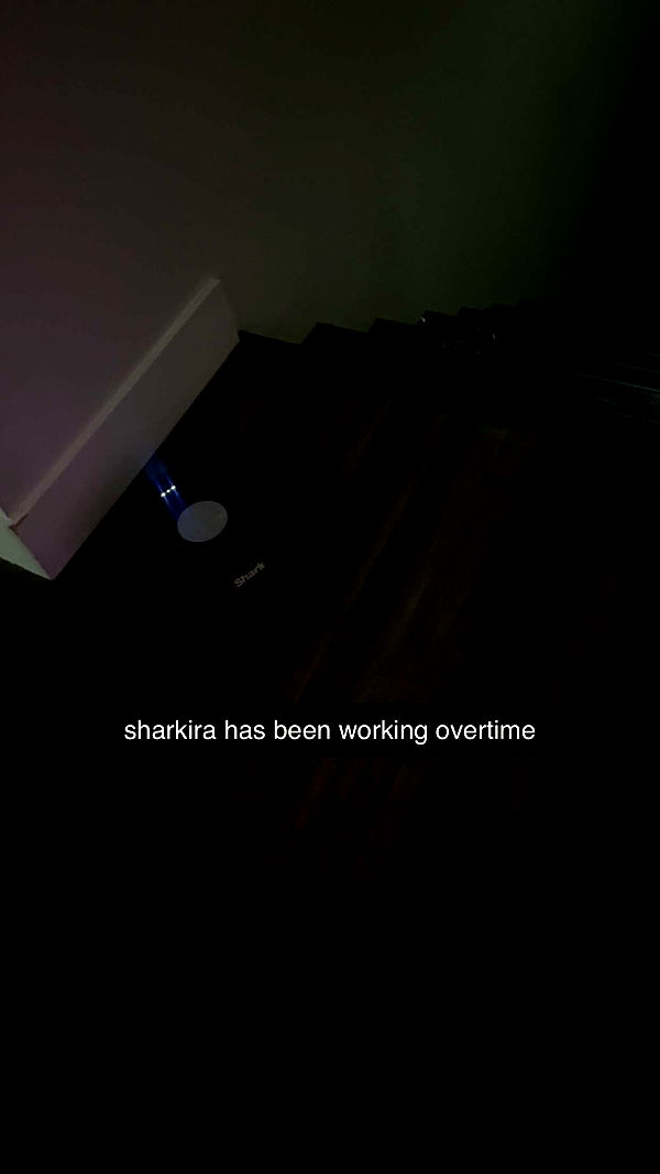 fionamaefit image ~ Altpins