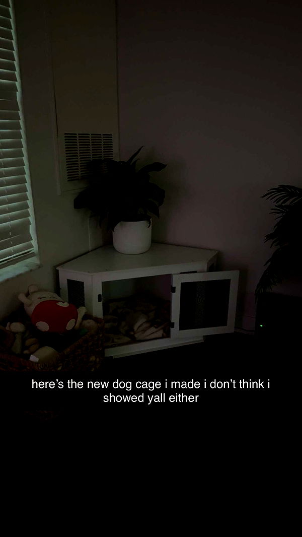 fionamaefit image ~ Altpins