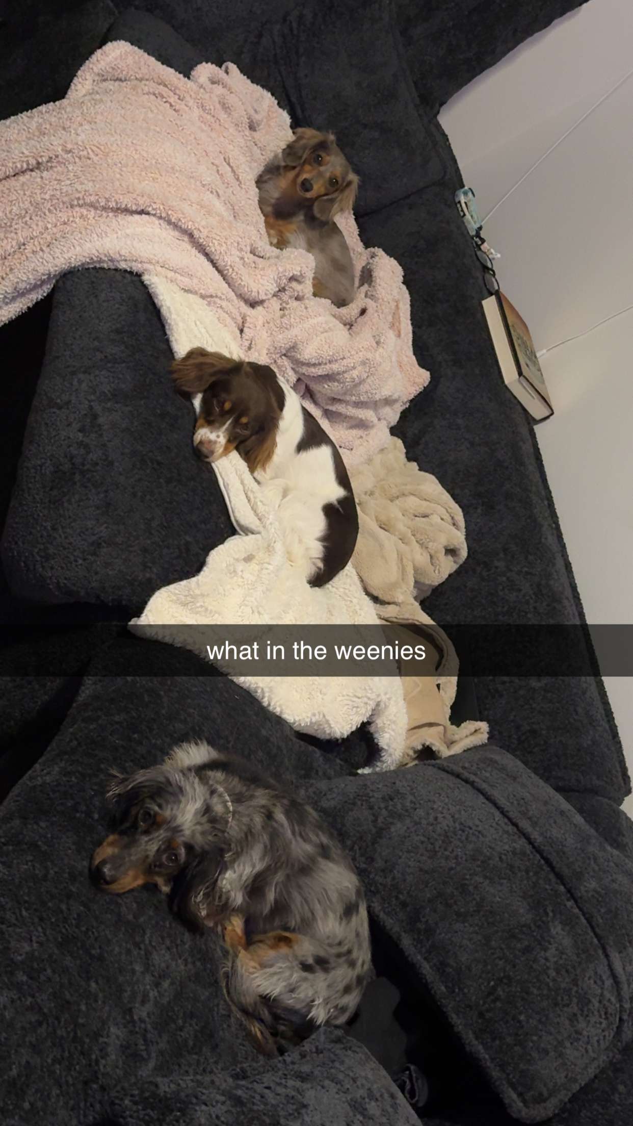 fionamaefit snapchat image archive image