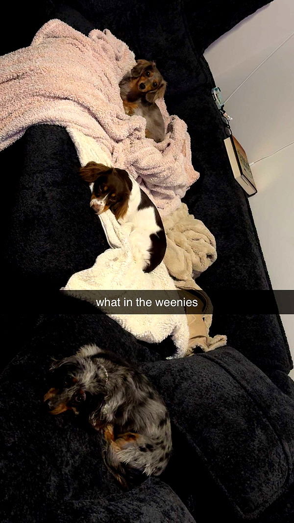 fionamaefit image ~ Altpins