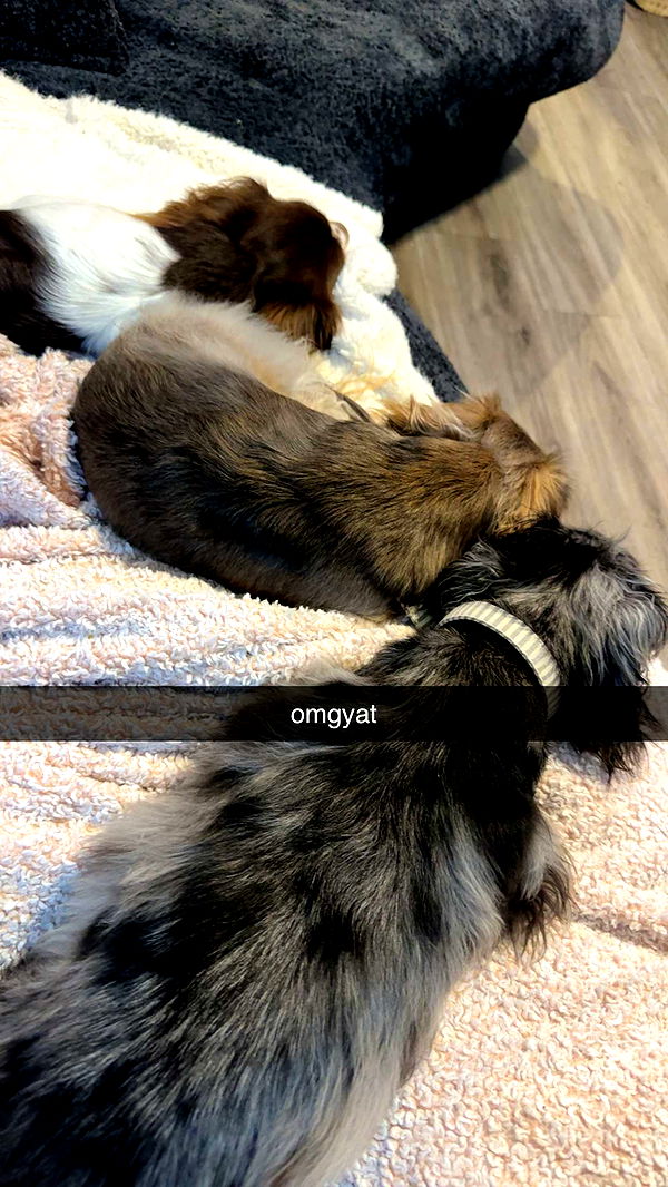 fionamaefit image ~ Altpins