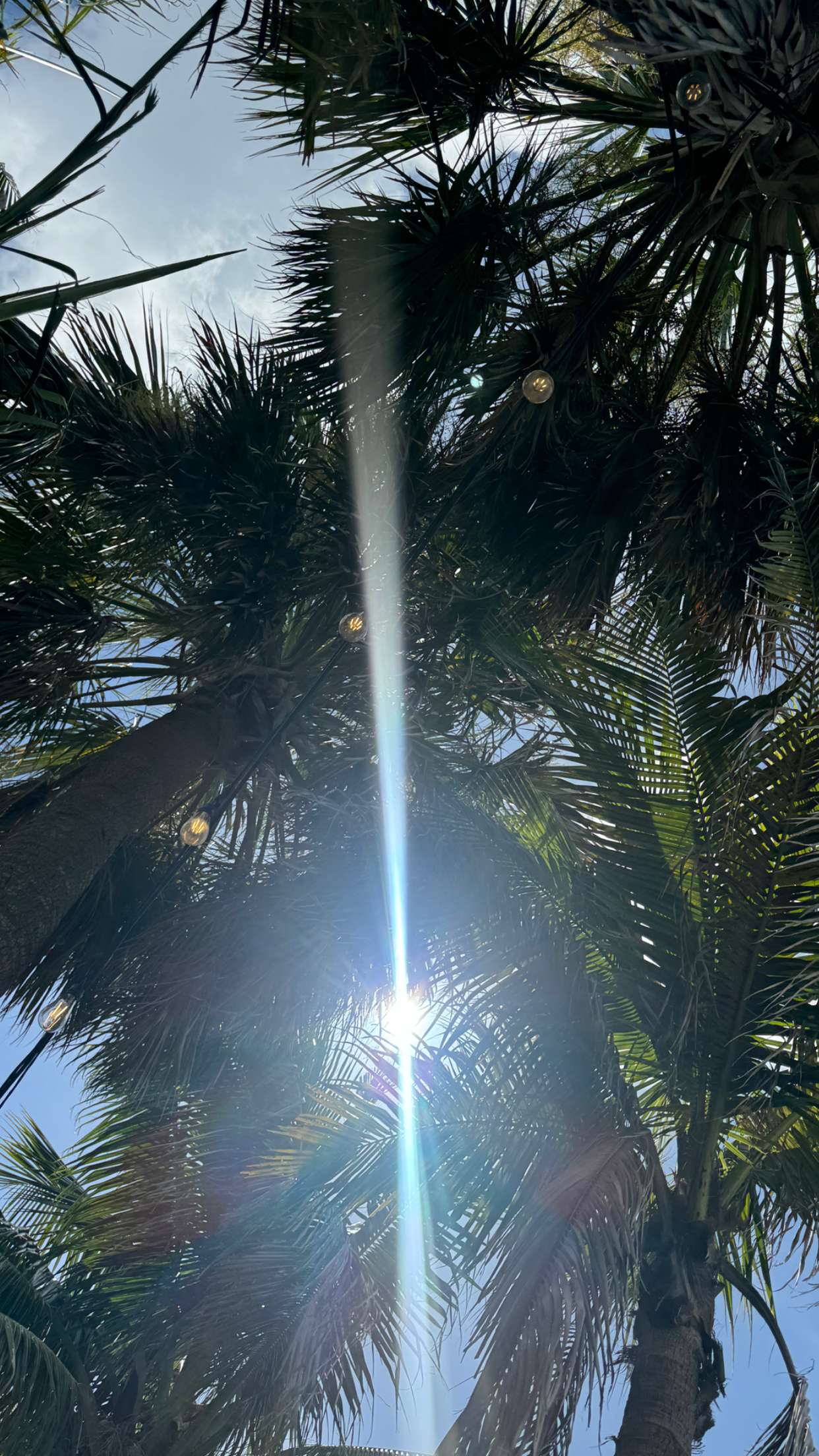 fionamaefit snapchat image archive image