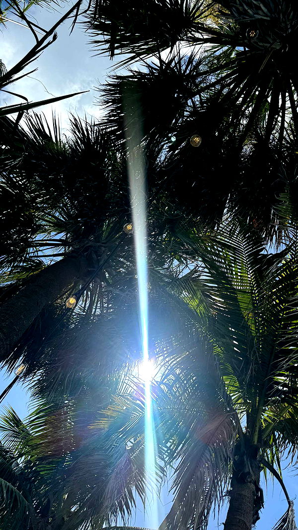 fionamaefit image ~ Altpins