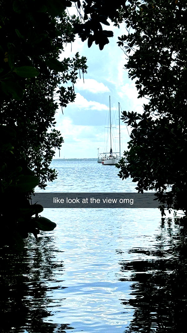 fionamaefit image ~ Altpins