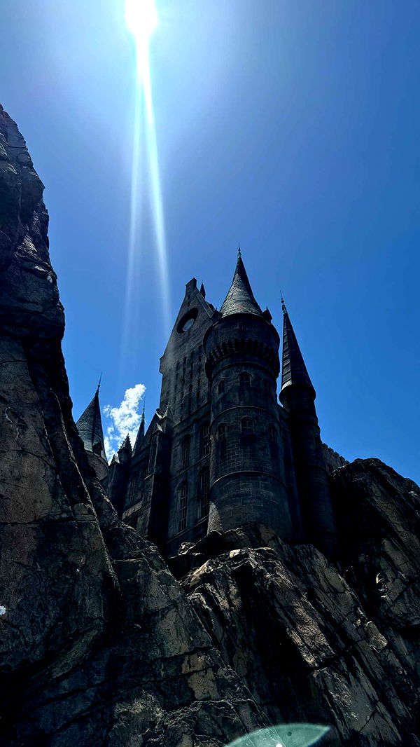 fionamaefit image ~ Altpins