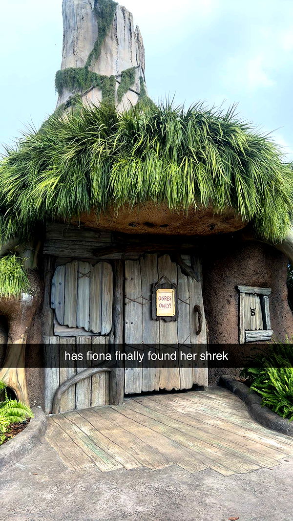 fionamaefit image ~ Altpins