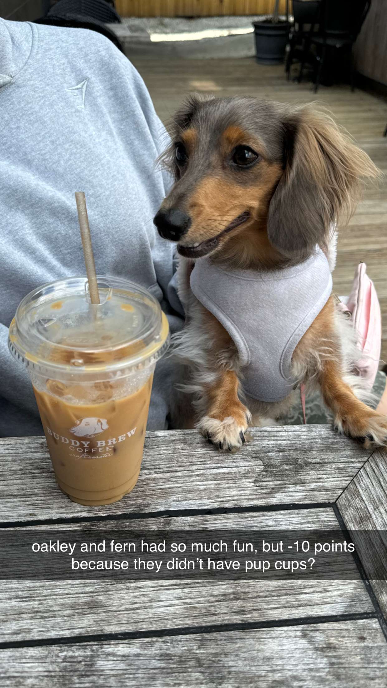 fionamaefit snapchat image archive image