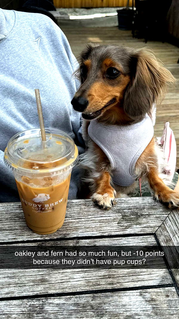 fionamaefit image ~ Altpins