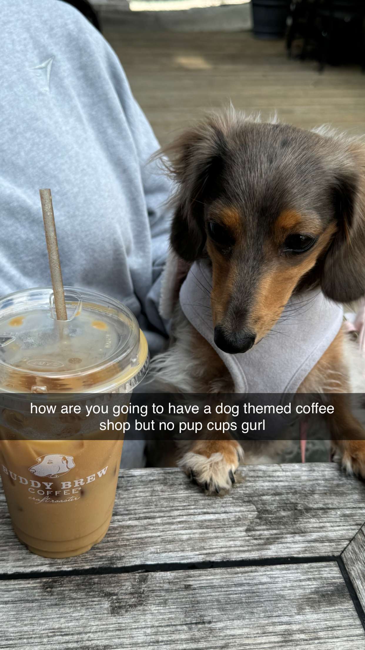 fionamaefit snapchat image archive image