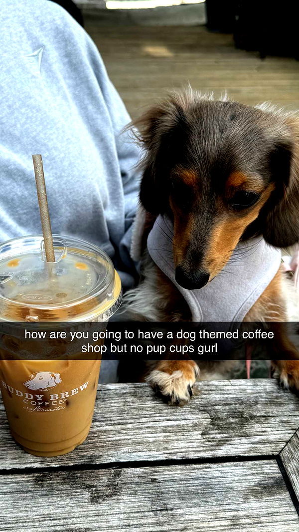 fionamaefit image ~ Altpins