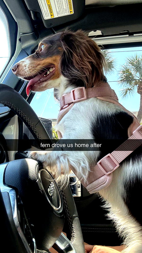 fionamaefit image ~ Altpins