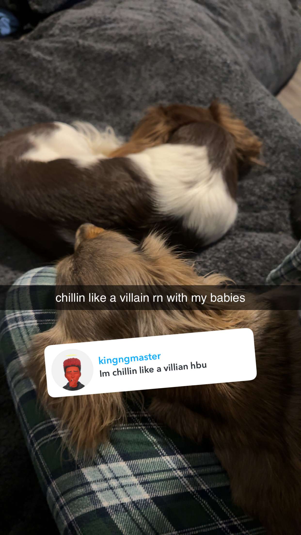 fionamaefit snapchat image archive image