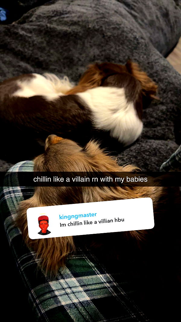 fionamaefit image ~ Altpins