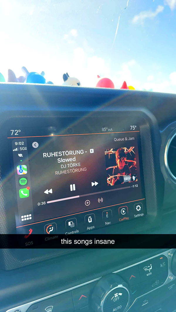 fionamaefit image ~ Altpins