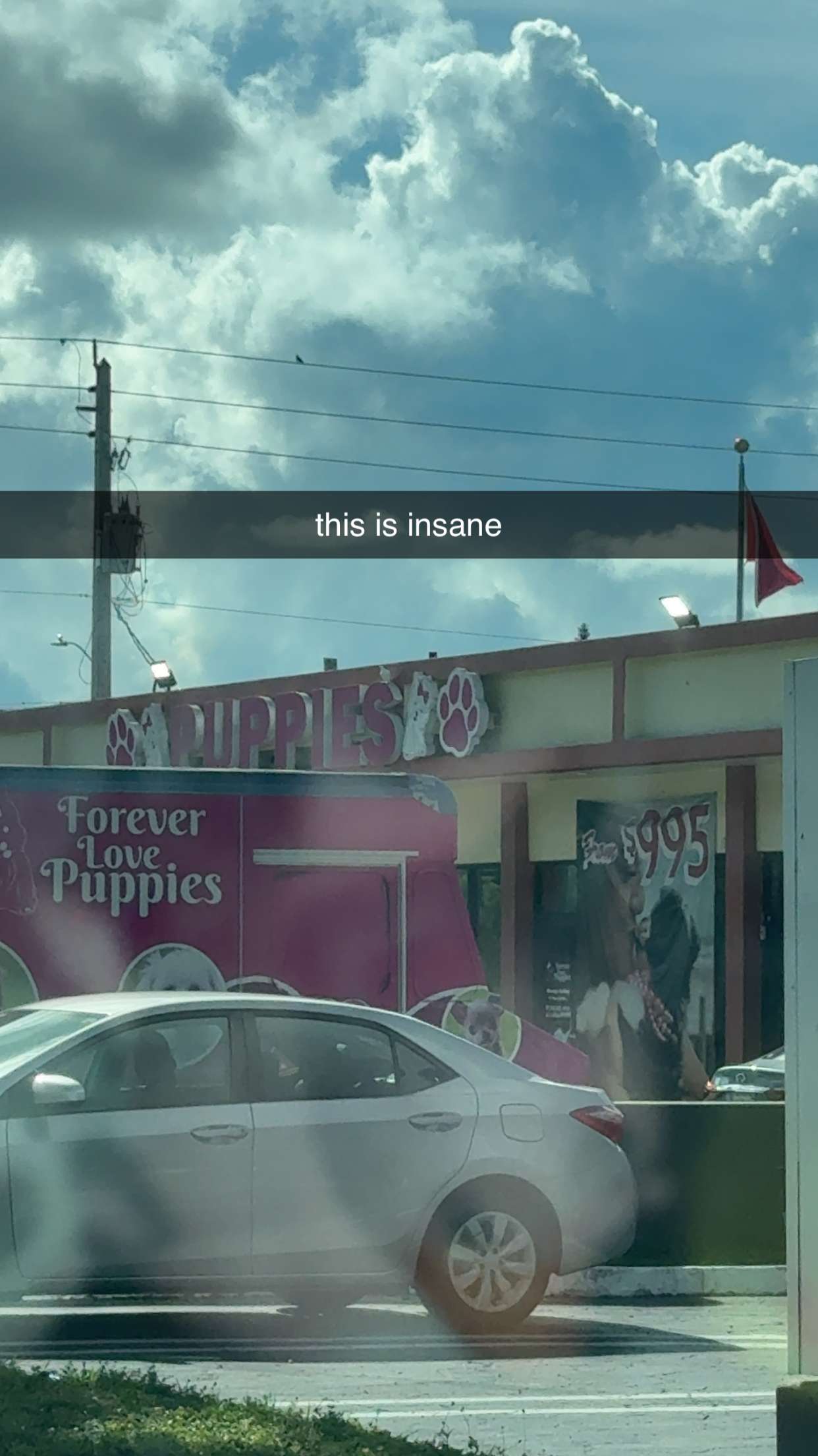 fionamaefit snapchat image archive image