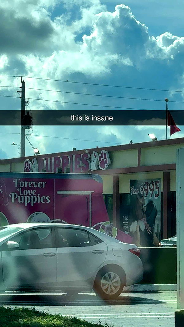 fionamaefit image ~ Altpins