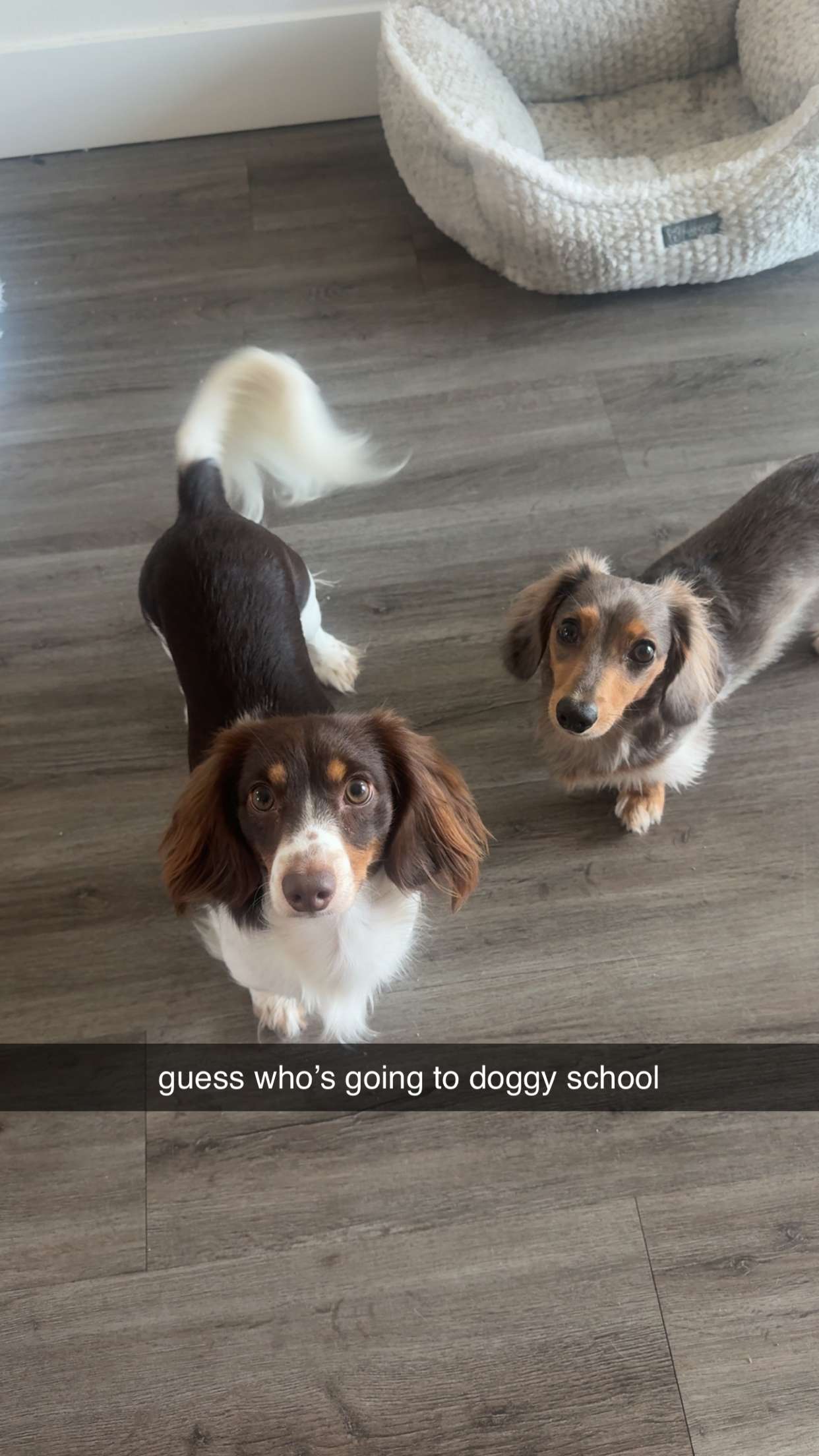 fionamaefit snapchat image archive image