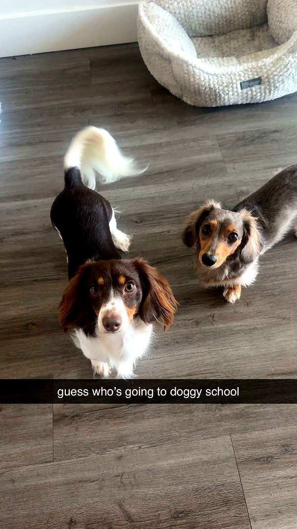 fionamaefit image ~ Altpins