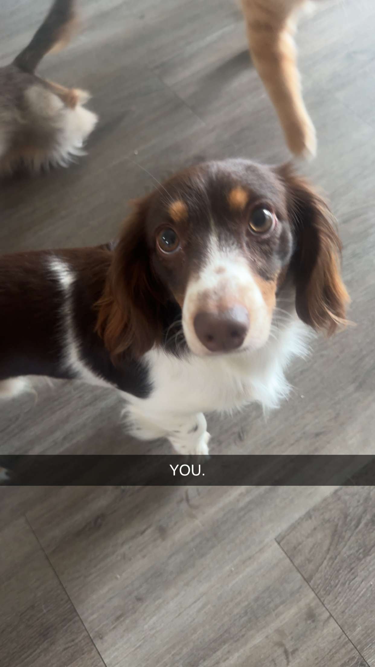 fionamaefit snapchat image archive image