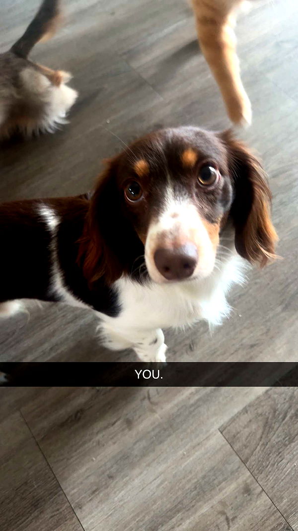 fionamaefit image ~ Altpins