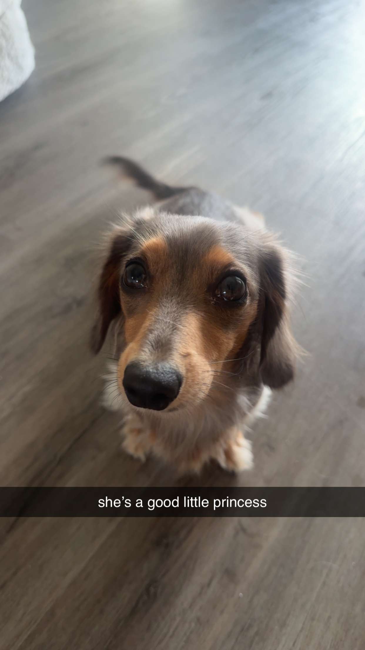 fionamaefit snapchat image archive image