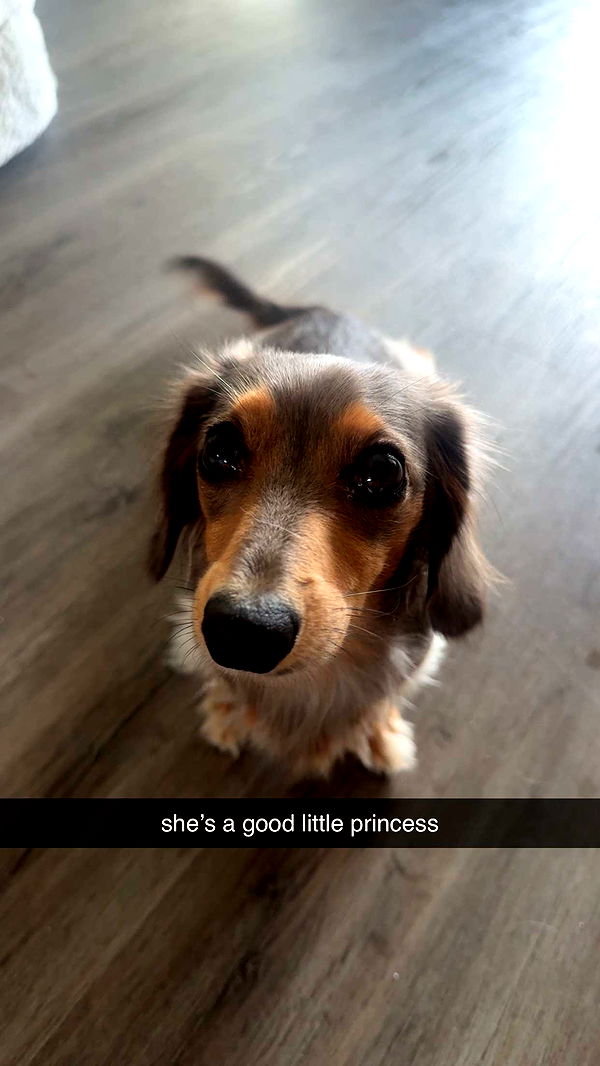 fionamaefit image ~ Altpins