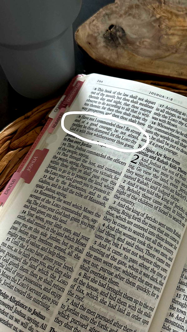 fionamaefit image ~ Altpins