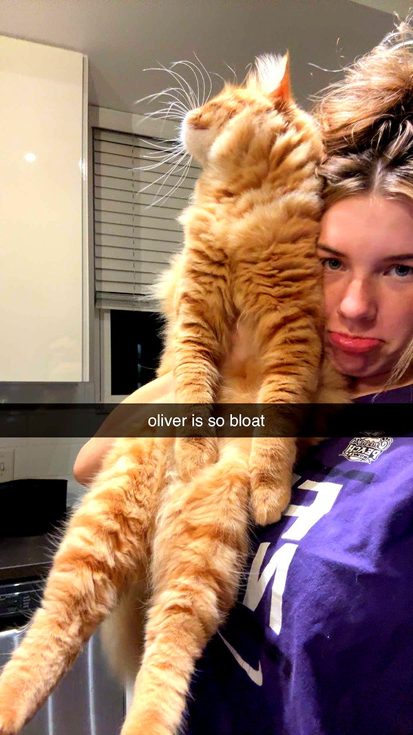 fionamaefit snapchat image archive image