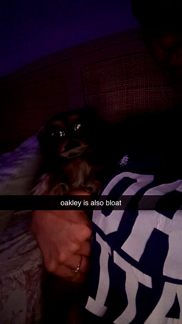 fionamaefit snapchat image archive image