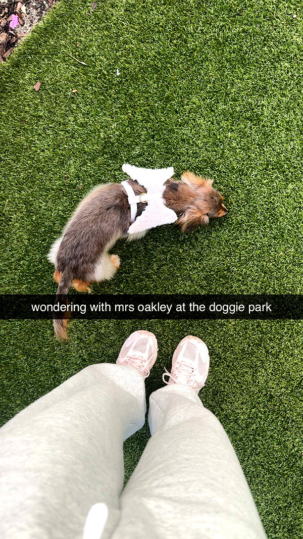 fionamaefit snapchat image archive image