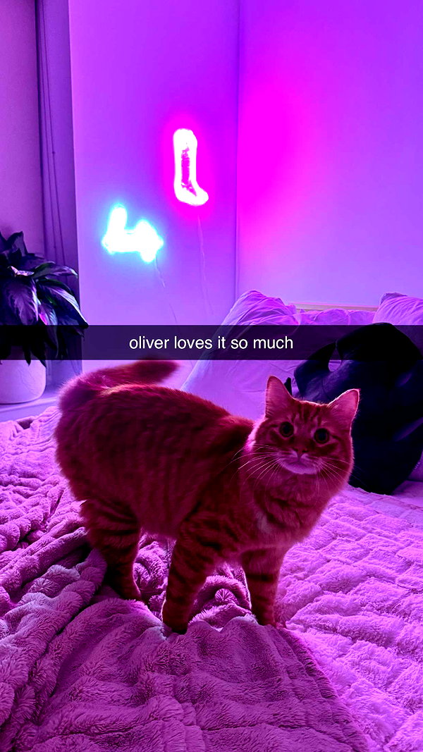 fionamaefit snapchat image archive image