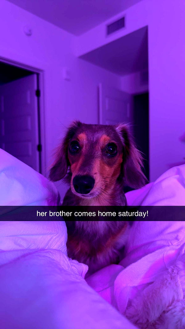 fionamaefit snapchat image archive image